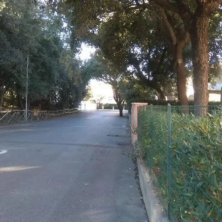 Etrusco San Vincenzo